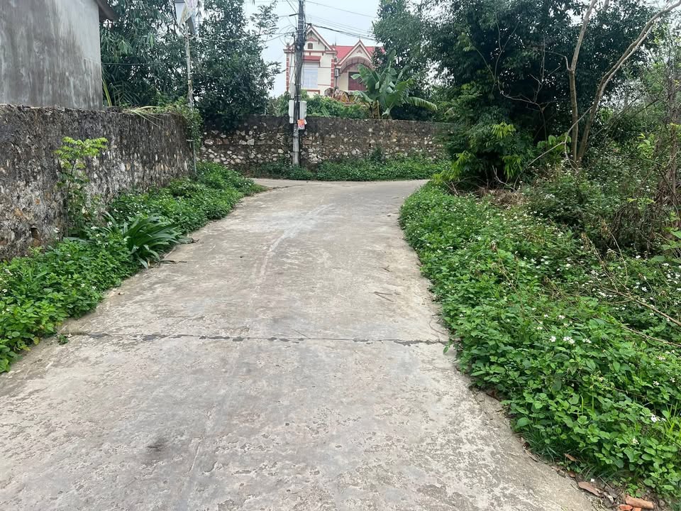 Đất Nền Lục Nam 110m² - Sổ Đỏ Sẵn Sàng, Giá Tốt