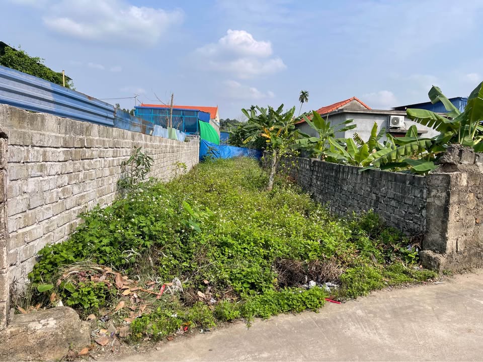 Bán đất Ninh Sơn, Thủy Nguyên - 120m² hướng Tây, gần chợ trường