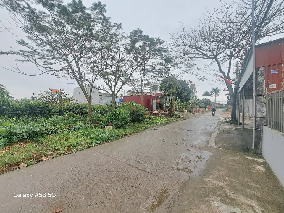 Đất nền Ninh Giang, Hải Dương - Mặt trục chính KCN Hưng Long, 125m², Sổ đỏ