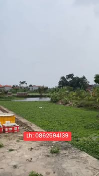 Đất Đấu Giá Nhân Lý, Tứ Kỳ - 100m² View Sông, Sổ Đỏ Chính Chủ