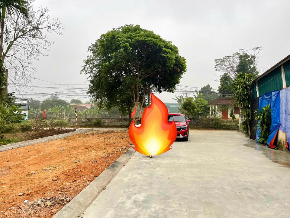 Đất nền 2 mặt tiền Sao Vàng, Thọ Xuân - Sổ đỏ 195m² giá 1 tỷ