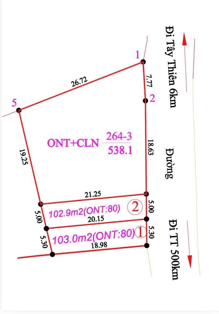 Đất nền Tam Đảo 103m² sổ hồng - Vị trí đẹp, giá đầu tư