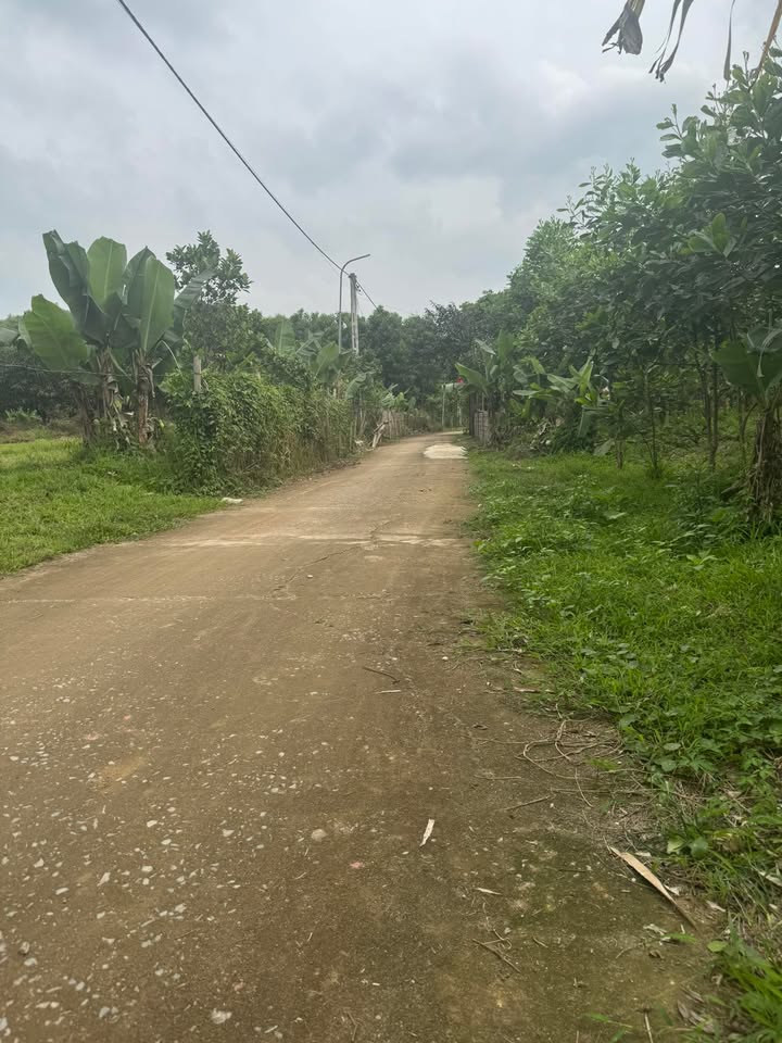 Bán đất 879m² Yên Cát, Như Xuân - Hơn 900 triệu, 200m thổ cư, dân đông