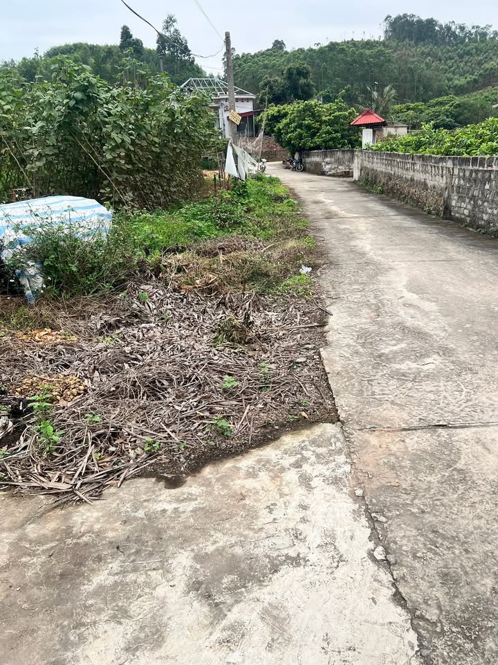 Đất Lục Nam, Bắc Giang 1000m² - Sổ Đỏ TC, Đường Oto - Đầu Tư Sinh Lời