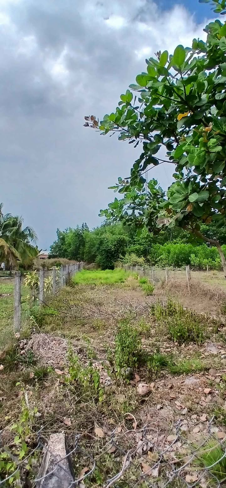 Đất Sổ Riêng Đức Linh 270m² Giá Tốt - Sẵn Sàng Xây Dựng