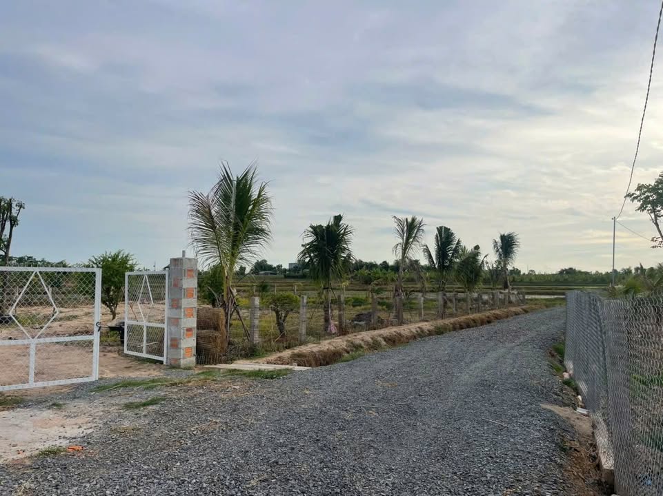 Đất thổ cư Hàm Chính, Bình Thuận - 100m² giá 320 triệu, sổ sẵn