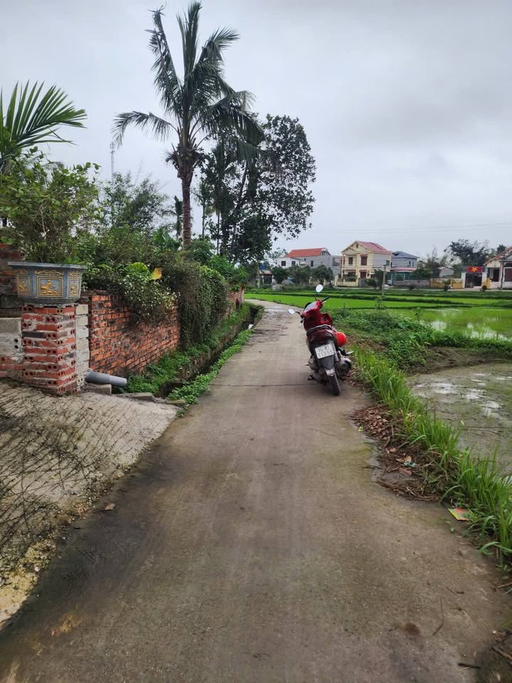 Đất nền Hoành Bồ 119m² - Tiềm năng tăng giá vượt trội!