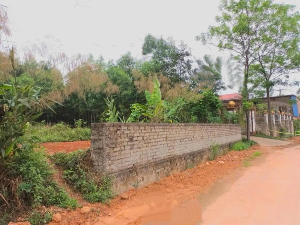 Đất Nền Tân Đức Phú Bình 150m² Thổ Cư - Tiềm Năng Sinh Lời Cao