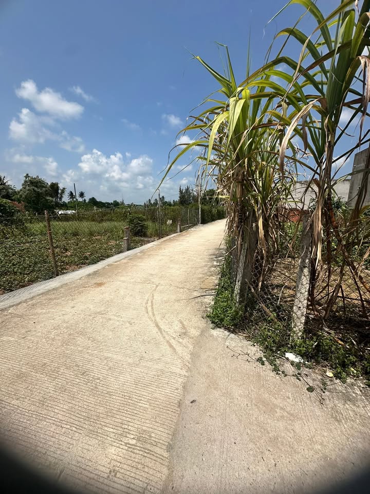 Đất Góc 128m² Mặt Tiền MV, TP Quảng Ngãi - Sổ Đỏ Sẵn Sàng