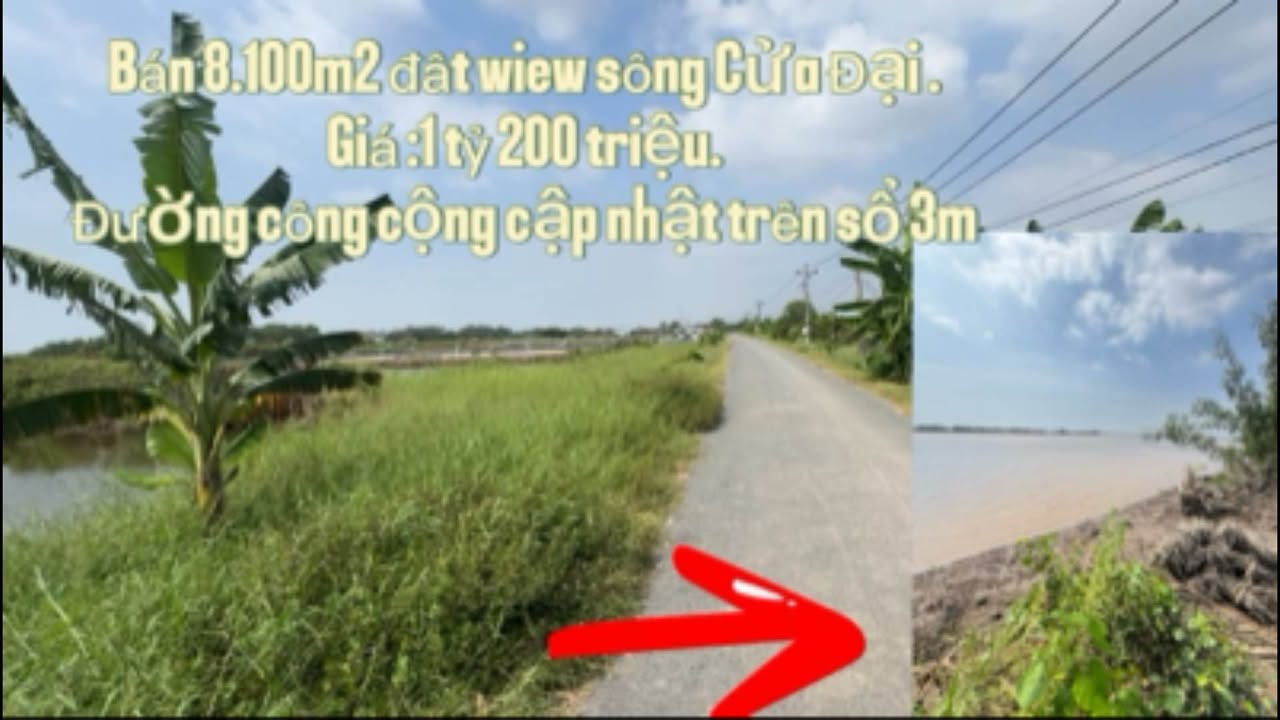 Đất nền Tân Thới Đồng Tháp 8100m² - Tiềm năng tăng giá