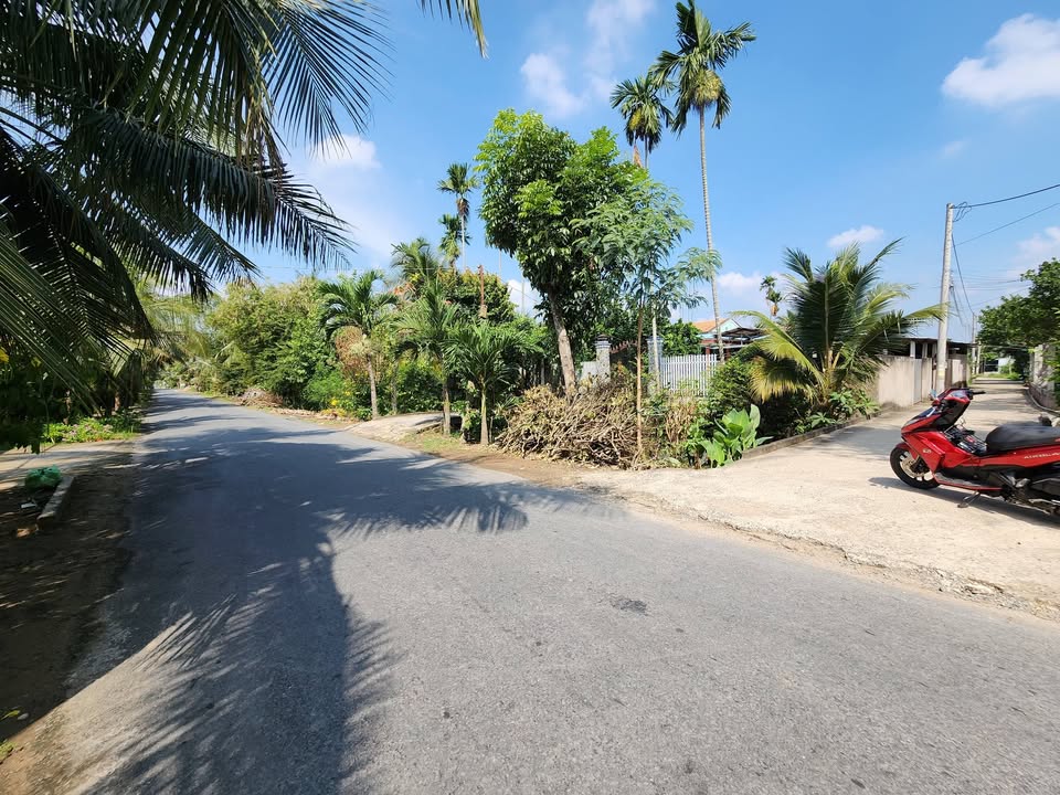 Bán 3 Nền Đất Vườn Mỹ Phong 184m² - Giá Tốt, Gần Chợ