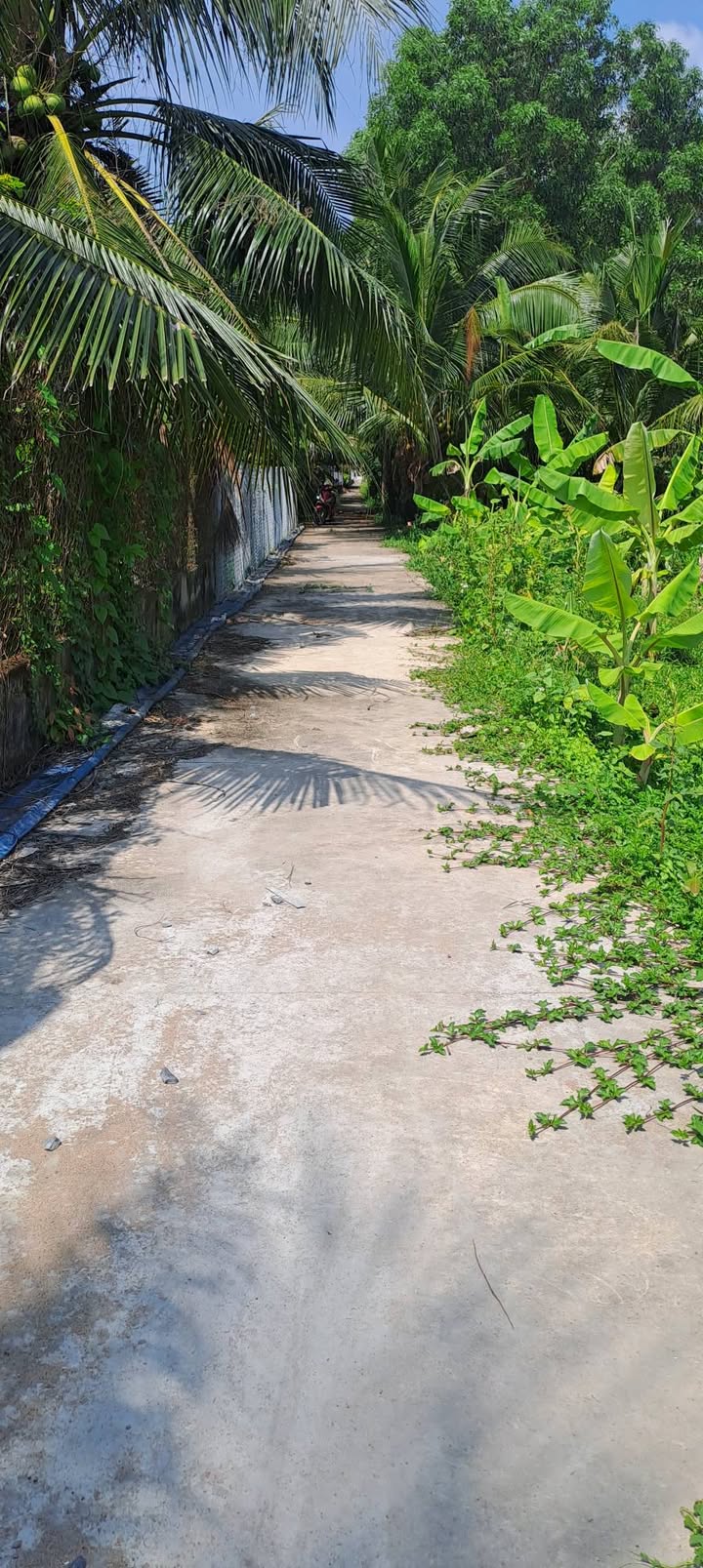 Đất nền Mỹ Phong Mỹ Tho 1100m² 2,99 tỷ - Vị trí đẹp