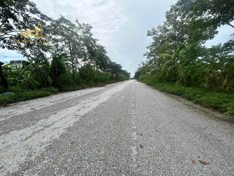 Biệt thự Song Lập IQ Nam Định - 216m² - Hướng Nam - Giá 14 Tỷ