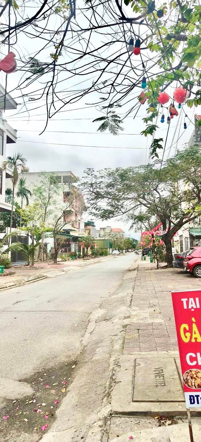 Đất nền Cao Xanh, Hạ Long 255m² - Sổ đỏ chính chủ, kinh doanh đắc địa!