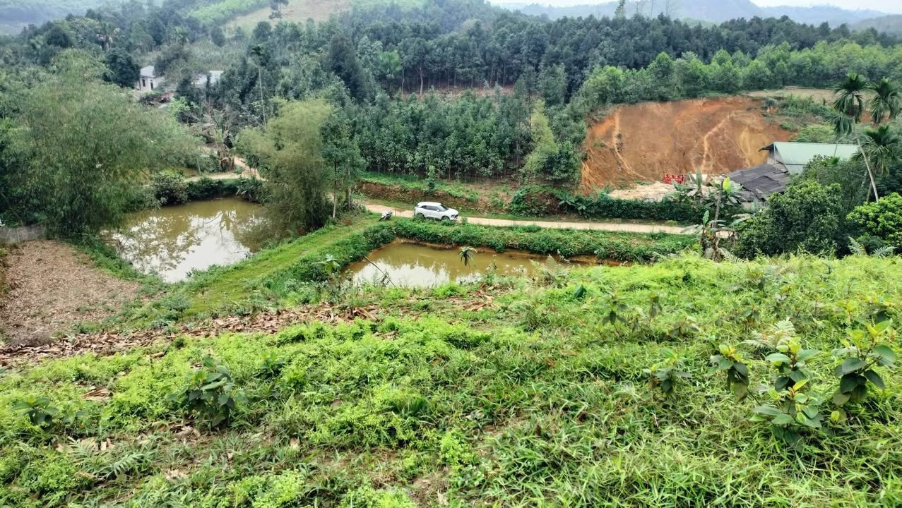 Đất Vườn Việt Cường, Trấn Yên 6300m² - Nghỉ dưỡng lý tưởng, ô tô tận nơi!