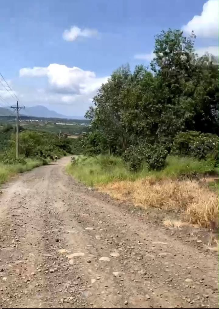 Bán Gấp Đất Vàng Xã Ninh Gia, Đức Trọng - 8500m² Mặt Tiền 50m