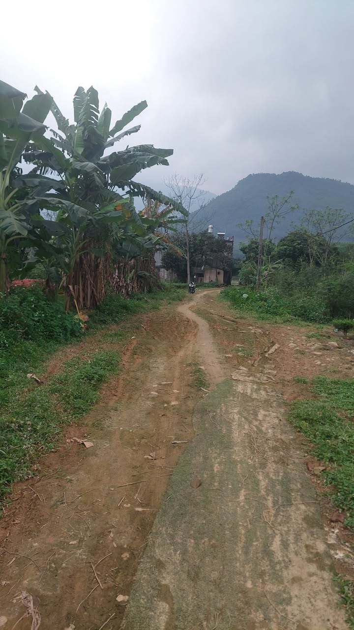 Đất nền Cát Nê, Đại Từ 1020m² - Tiềm năng tăng giá vượt trội!