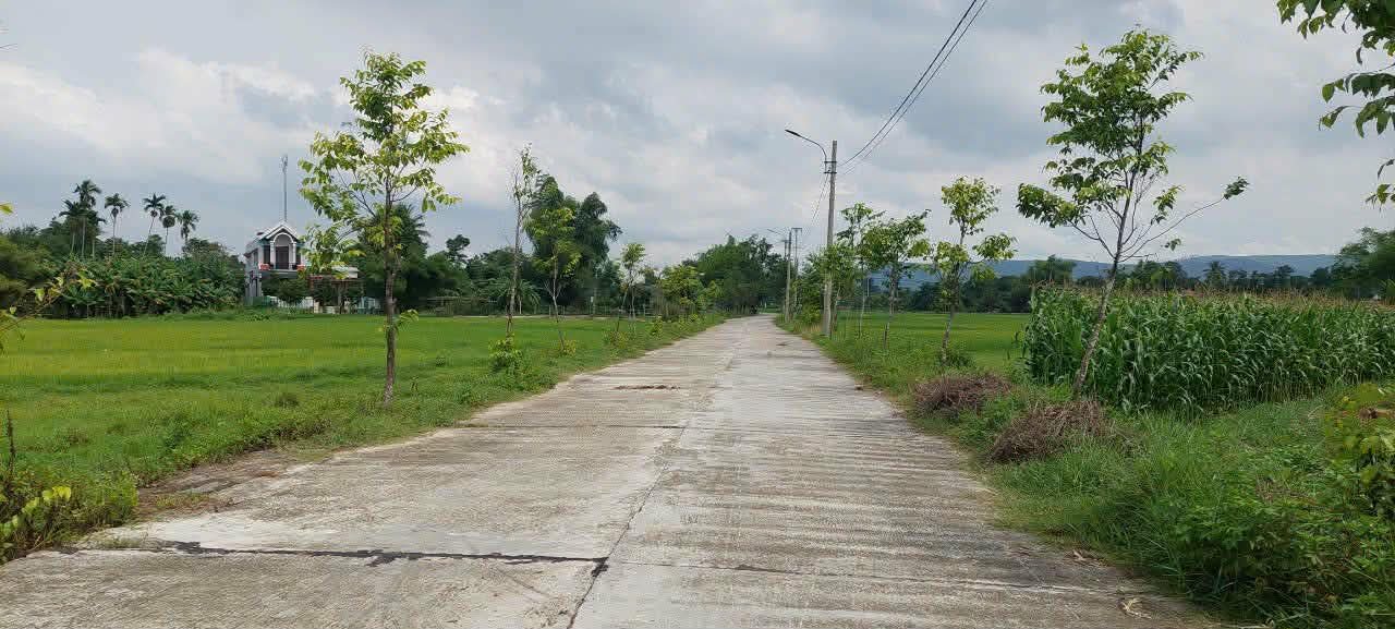 Đất nền Hòa Phong, Hòa Vang 422m² - Sổ đỏ chính chủ, tiềm năng sinh lời!