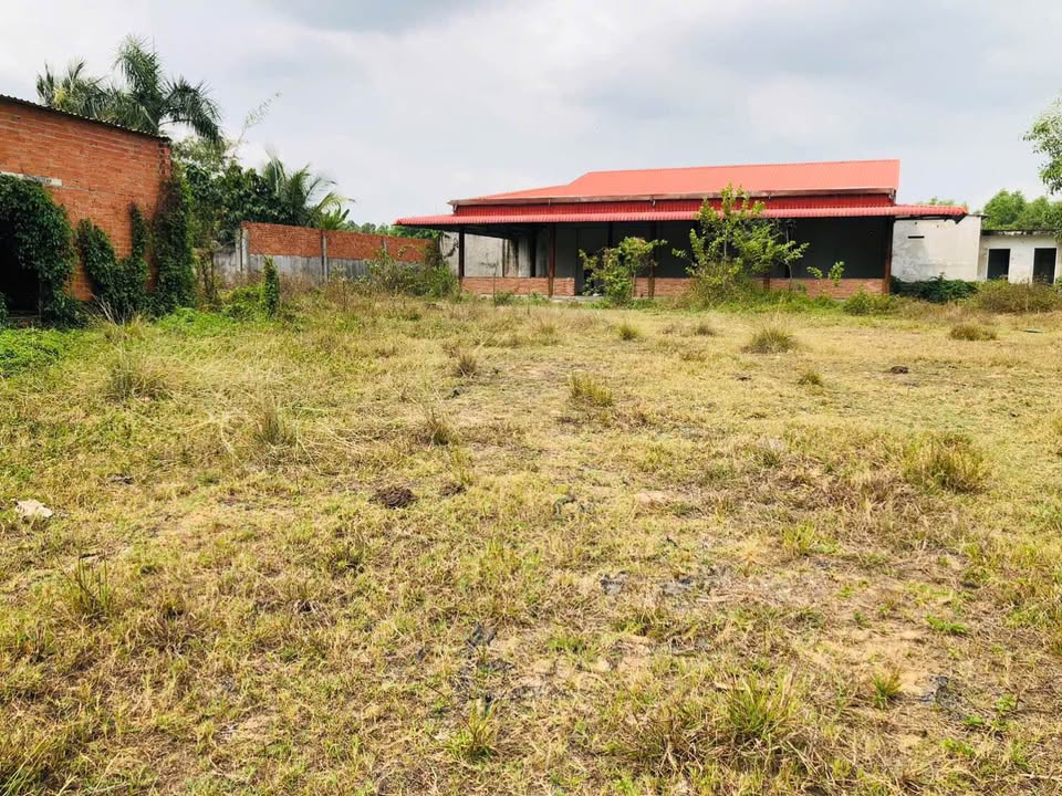 Đất nền Đức Lập Thượng 5600m² - Tiềm năng tăng giá vượt trội!