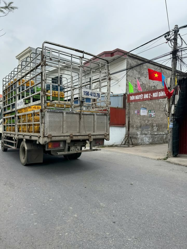 Đất nền An Lão 65m² giá 650 triệu - Cơ hội vàng giá F0 CĐT!