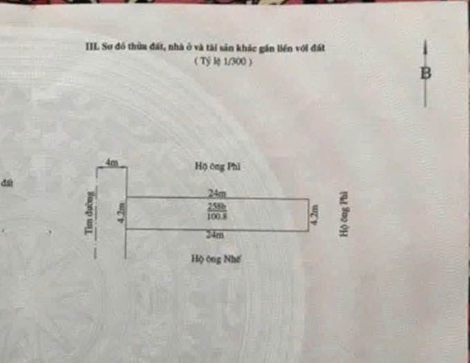 Đất nền Cát Linh Hải Phòng 101m² - Mặt đường ô tô, tiềm năng đầu tư