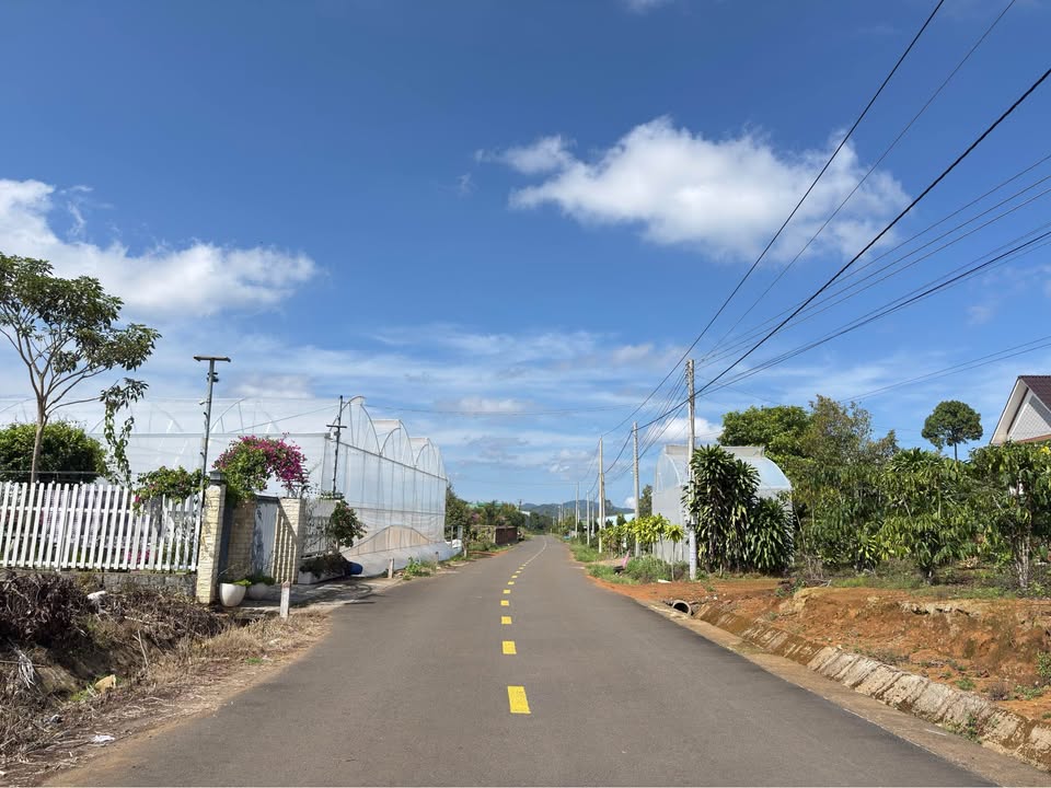 Đất Full Thổ Cư 230m² Hẻm 6m Phùng Hưng, Bảo Lộc - Giá Đầu Tư 1.5 Tỷ