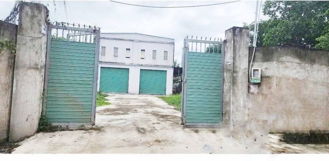 Bán Gấp Nhà Xưởng 871m² Mặt Tiền Đường 7m - Vĩnh Lộc A, Bình Chánh