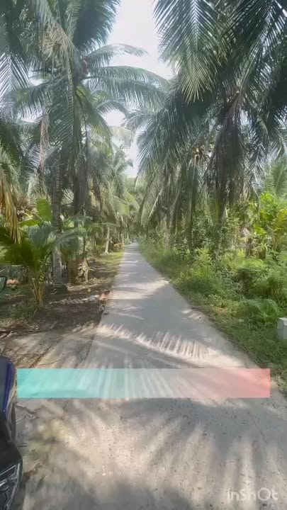 Đất Vườn Tiền Giang 8528m² - Giá 440 Triệu - Sẵn Sổ Hồng