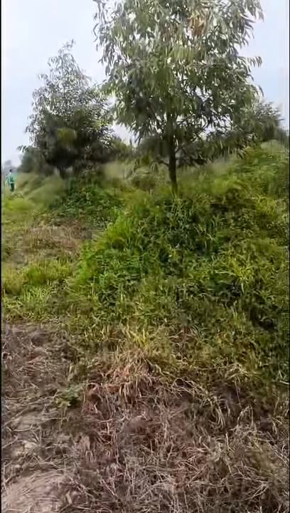 Đất Vườn 14.000m² Đồng Tháp - Giá Tốt, Sẵn Sàng Đầu Tư