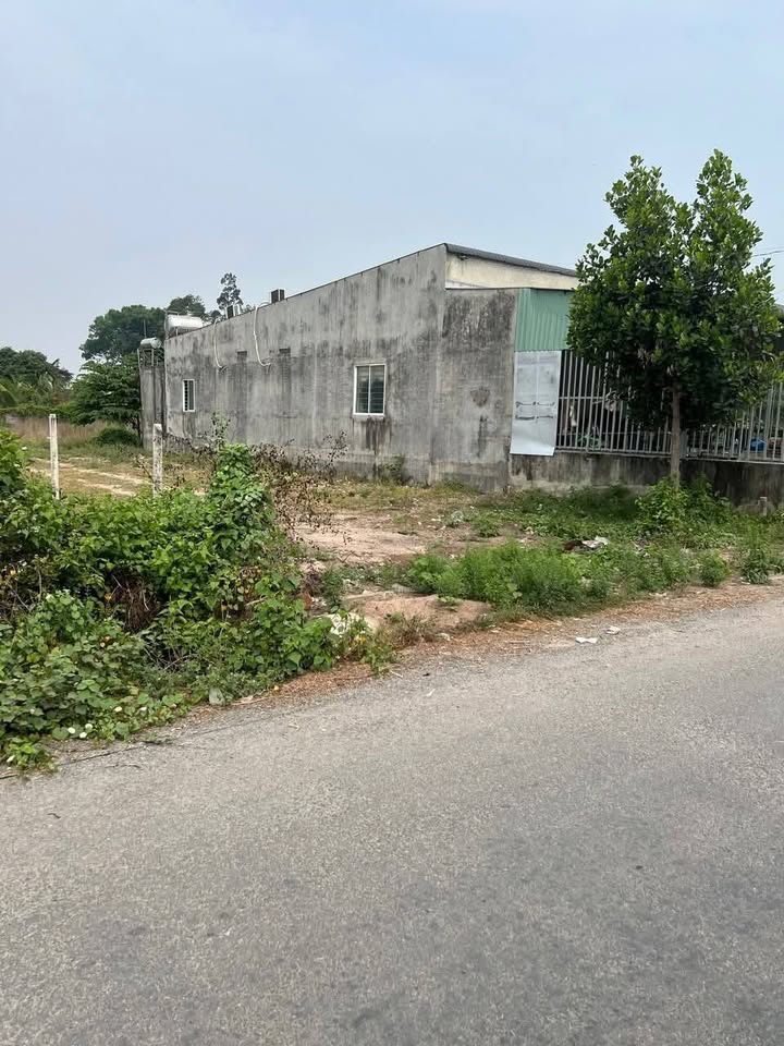 Đất nền Củ Chi 270m² giá 1.5 tỷ - Đất thổ cư 100%!