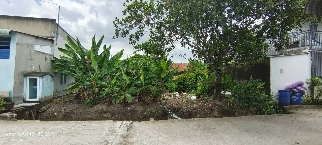 Đất thổ cư 220m² Bình Mỹ, Củ Chi - Sổ hồng sẵn, giá 4.2 tỷ