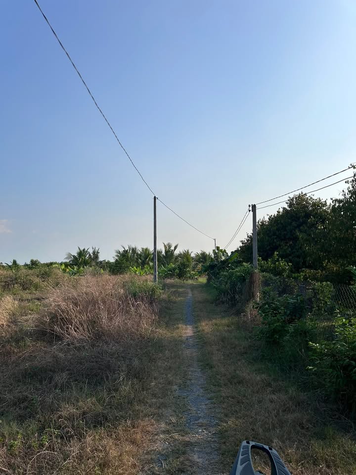 Đất Nền Gò Dầu Tây Ninh 160m² - Sổ Hồng Sẵn Sàng, Giá F0 540 Triệu