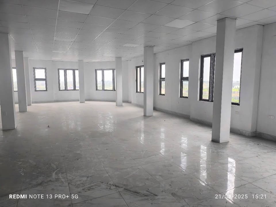 Nhà phố Bùi Viện, Hải Phòng 120m² - Vị trí đắc địa, kinh doanh đỉnh!