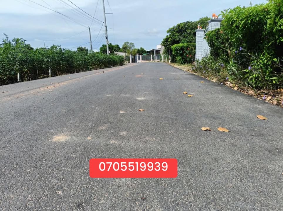 Bán Gấp Nhà Cấp 4 + Đất 280m² Mặt Tiền Tỉnh Lộ 329, Bà Rịa - Vũng Tàu