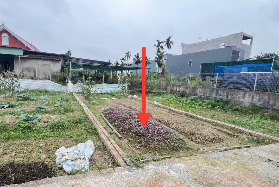 Đất Nền 55m² An Dương, Hải Phòng - Sổ Đỏ Sẵn Sàng, Giá Chỉ 7xx Triệu