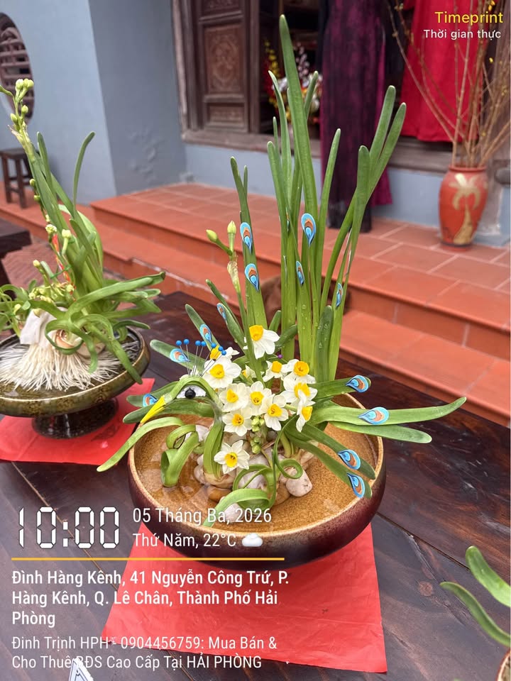 Nhà Phố Trần Nguyên Hãn 93m² - Mặt tiền kinh doanh đắc địa!