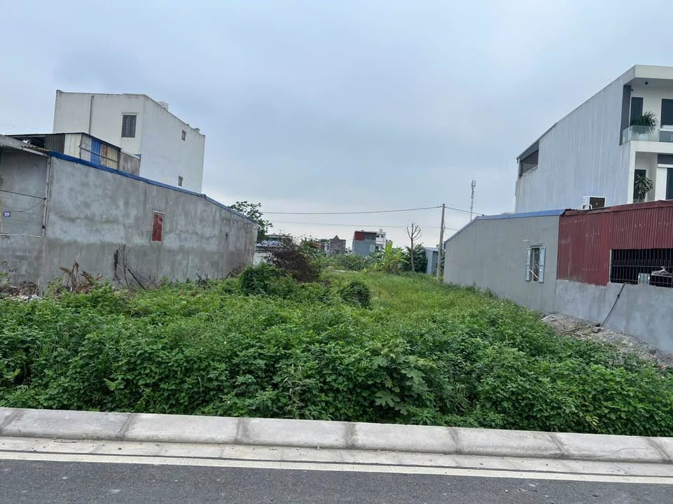 Đất nền An Dương 132m² mặt tiền đẹp, đầu tư sinh lời ngay!