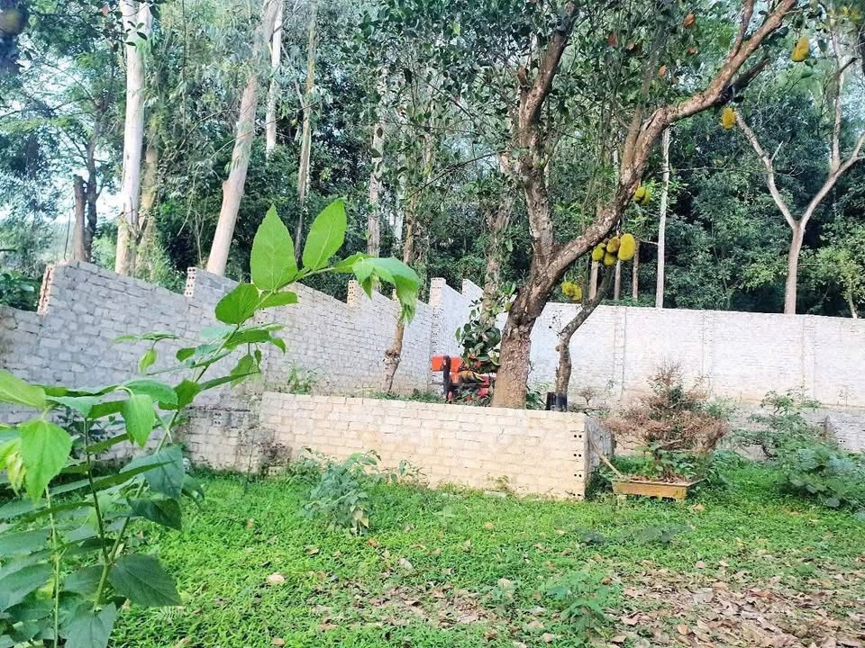 Đất Nền Đông Hương, TP Thanh Hóa 497.8m² - Xây dựng tự do!