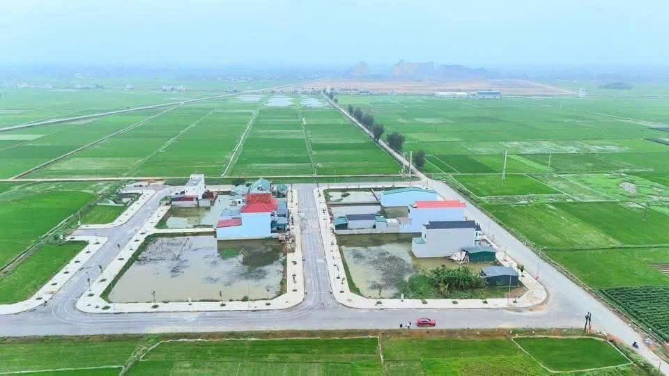 Đất đấu giá Ngọc Vũ - Thanh Hóa: 150-200m² giá chỉ 6xx-8xx triệu