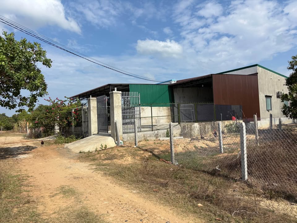 Đất nền Ea Súp 10x33m giá 550 triệu - Sổ đỏ chính chủ!