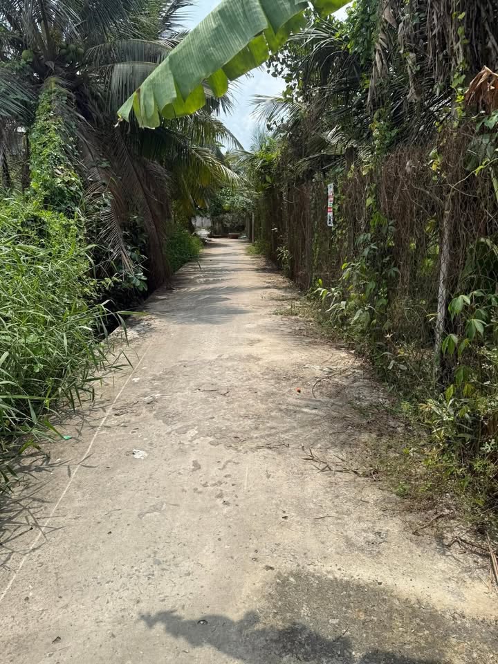 Đất Nền Phú Tân 100m² - Sổ Đỏ Sẵn Sàng, Giá Chỉ 450 Triệu