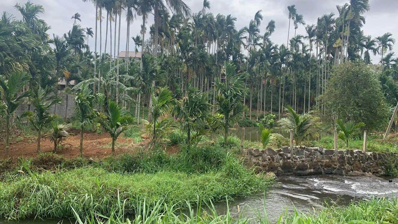 Đất vườn Phường Tân Lập 3887m² - View thiên nhiên cực đẹp!