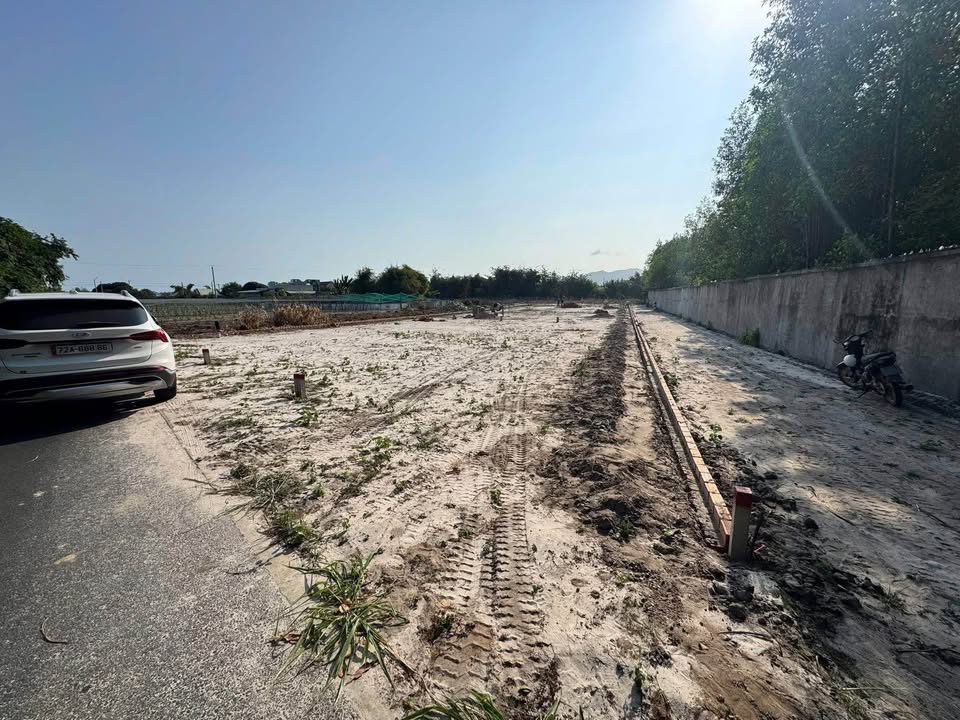 Đất nền Phước Hải 115m² - Mặt tiền đường nhựa, 8 phút tới biển - 1.X Tỷ