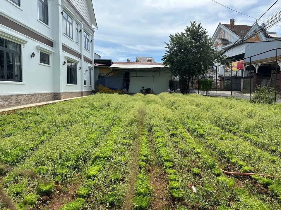 Đất nền Đà Lạt 285m² Phường 12 - Tiềm năng tăng giá vượt trội!