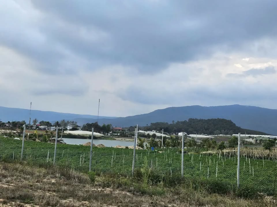 Bán Đất Nền 3000m² Lâm Đồng - Sẵn Sàng Xây Dựng Farm/Homestay