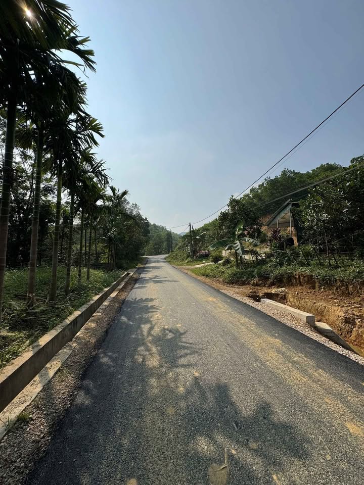 Bán đất Ba Đồi Lạc Thủy 124m² - Sổ hồng sẵn, giá đầu tư 7tr/m²