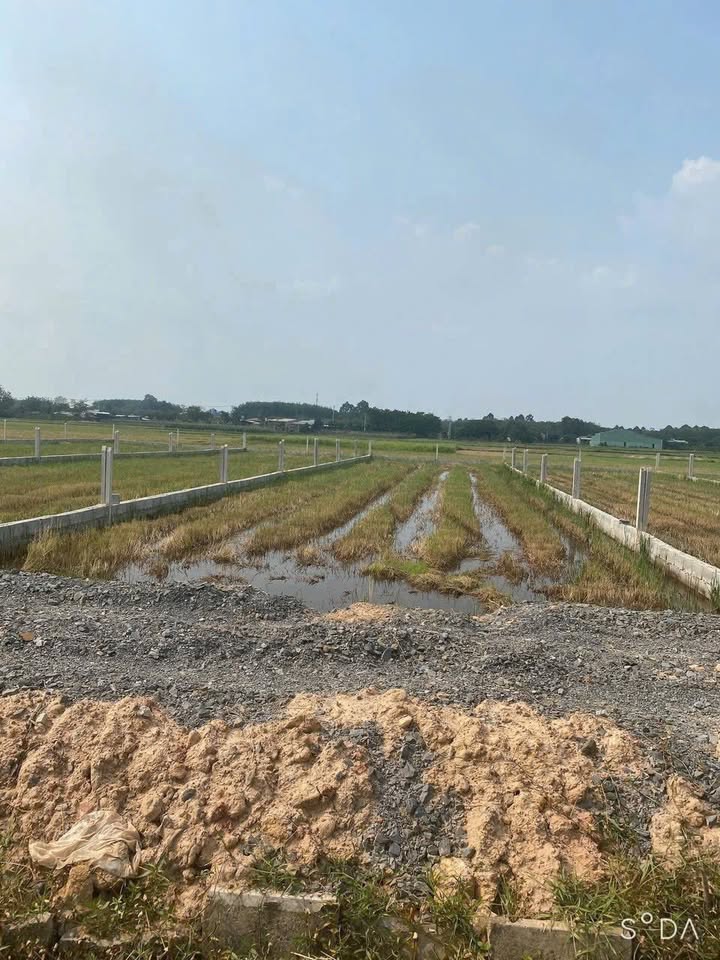 Đất vườn An Nhơn Tây Củ Chi 504m² giá 750 triệu - Đầu tư dài hạn!