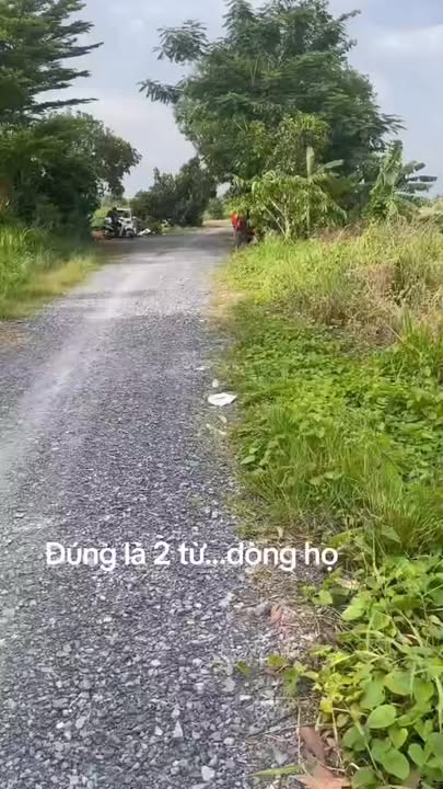 Đất nền Bình Mỹ Củ Chi 3846m² - Tiềm năng tăng giá vượt trội!