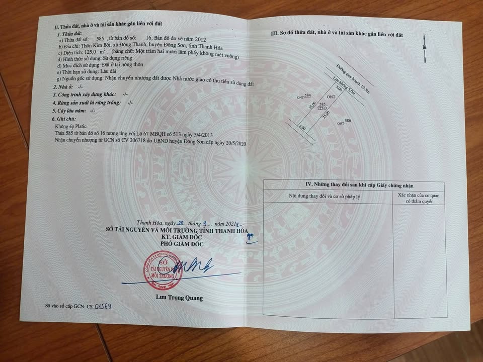 Đất nền 125m² Đông Thanh - Sổ đỏ sẵn, gần Cao tốc Bắc Nam