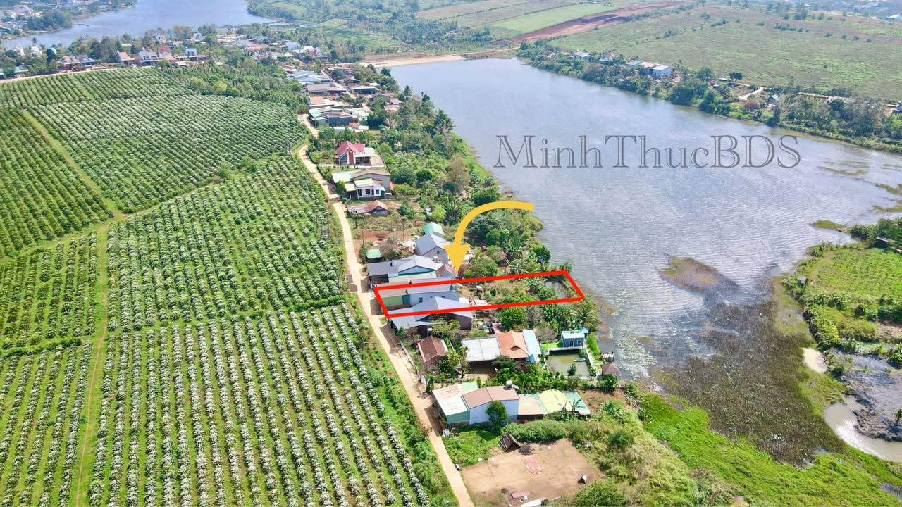 Đất Nền Mặt Tiền Bê Tông Lớn 420m² - View Hồ Dak Mil, Lâm Đồng - Giá Đầu Tư 1.25 Tỷ